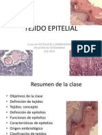 01-teo-epitelios-2014.pdf