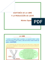 Anatomia Braguer I Produccia Llet PDF