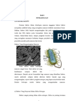 Bab I Pendahuluan Latar Belakang Peranan Bakteri
