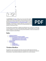 Metodología PDF