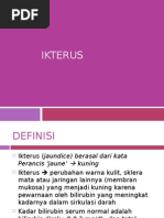 Patofisiologi Ikterus