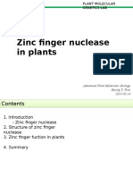 Zinc Finger Nuclease in Plant
