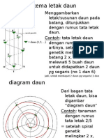 Diagram Daun-diagram Bunga