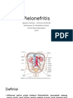 Pyelonefritis