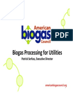 Important BiogasProcessing PDF