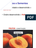 Frutos e Sementes