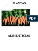 PLANTAS ALIMENTICIAS.docx