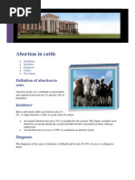 Download Abortion in Cattle by Muhammad Farrukh Hafeez SN28071484 doc pdf