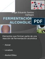fermentacinalcohlica-110121140039-phpapp02.pptx