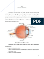 Crs Retinopati