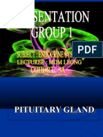 Pituitary Gland