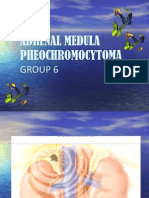 Adrenal Medulla Pheochromocytoma