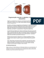 Degeneração Macular e Catarata X Luteína e A Zeaxantina