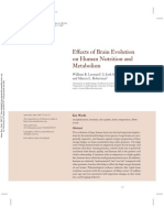 Effect of Brain Evolution on Metabolism
