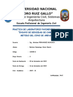 Inf._N_1_-_Densidad_de_Campo.docx