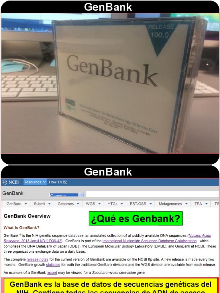 Gen Bank | PDF | Gen Bank | Explosión