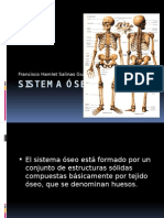 Expo Sistema Oseo