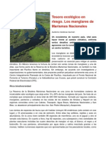 Tesoro Ecológico en Riesgo. Los Manglares de Marismas Nacionales