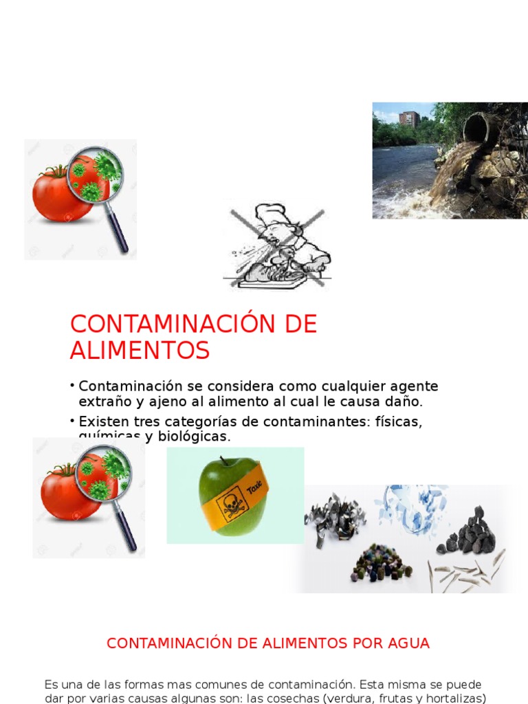 Contaminación de Alimentos Por Agua | PDF | Microorganismo | Alimentos