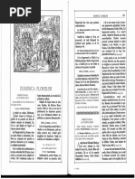 triodul 10 duminica floriilor