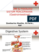 1. Anatomi Fisiologi Sisteem Pencernaan