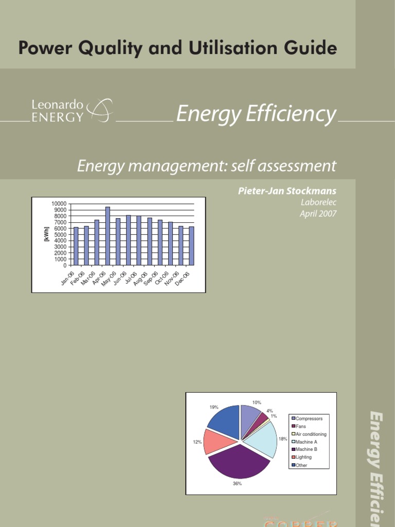 Energy Management Self Assessment | PDF | Energy Management | Efficient ...
