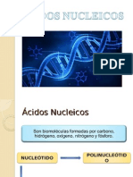 Nucleótidos y Ácidos Nucleicos