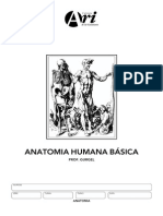 Manual Basico de Anatomia