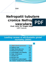 Curs 4 -Nefropatiile Tubulare Si Vasculare