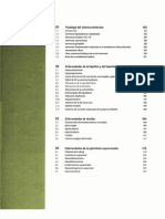 endocrinologia CTO 7.pdf