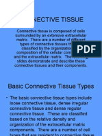 Connective Tissue Images