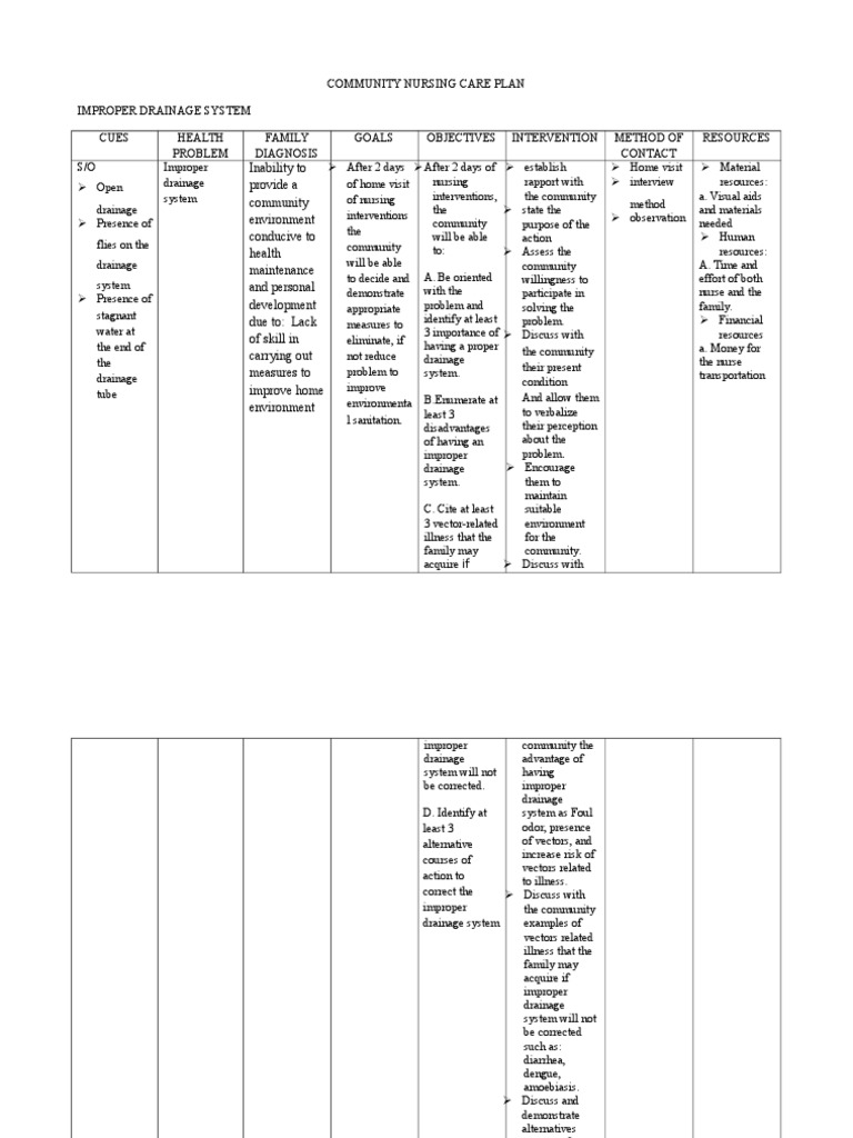 Community Nursing Care Plan