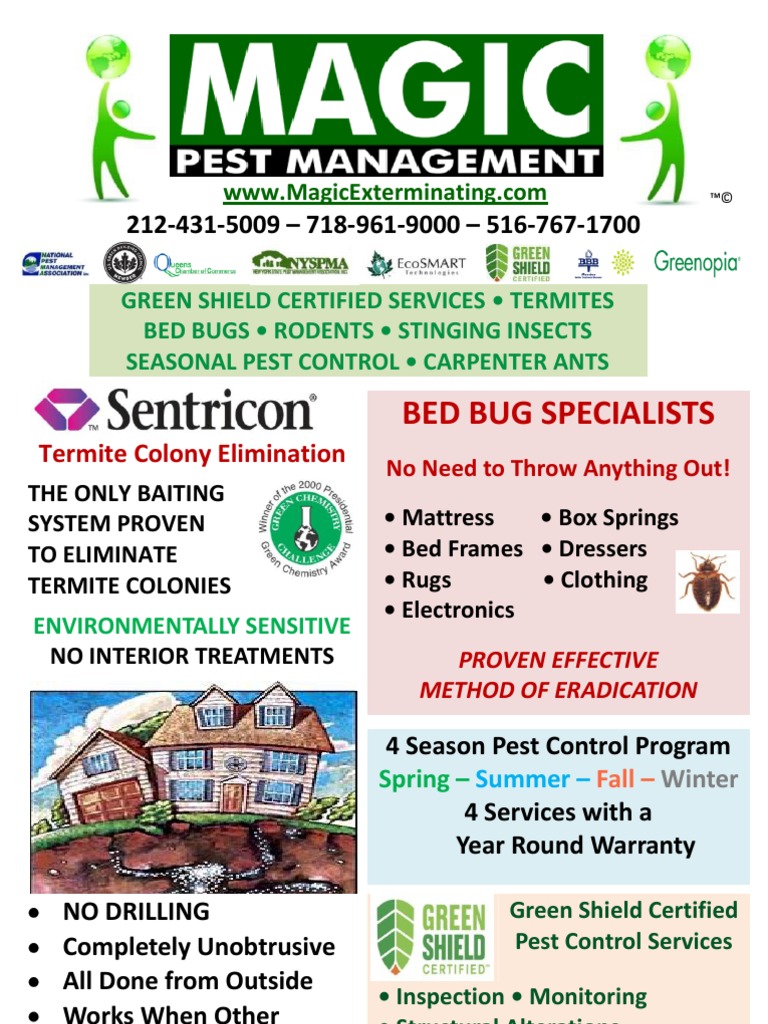 Magic Pest Management Service Brochure Pest Control Rat