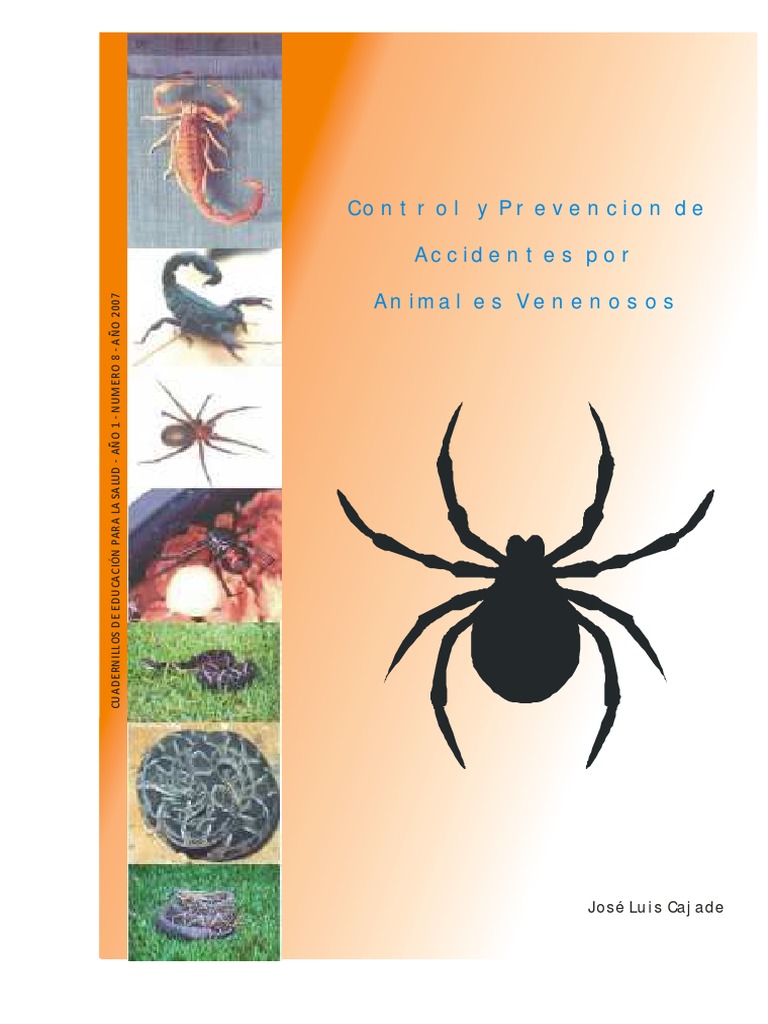 Seguridad Vial:  Protegete De Accidentes Causados Por Animales - 0zokz27