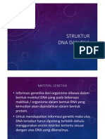 Struktur Dna Dan Rna PDF