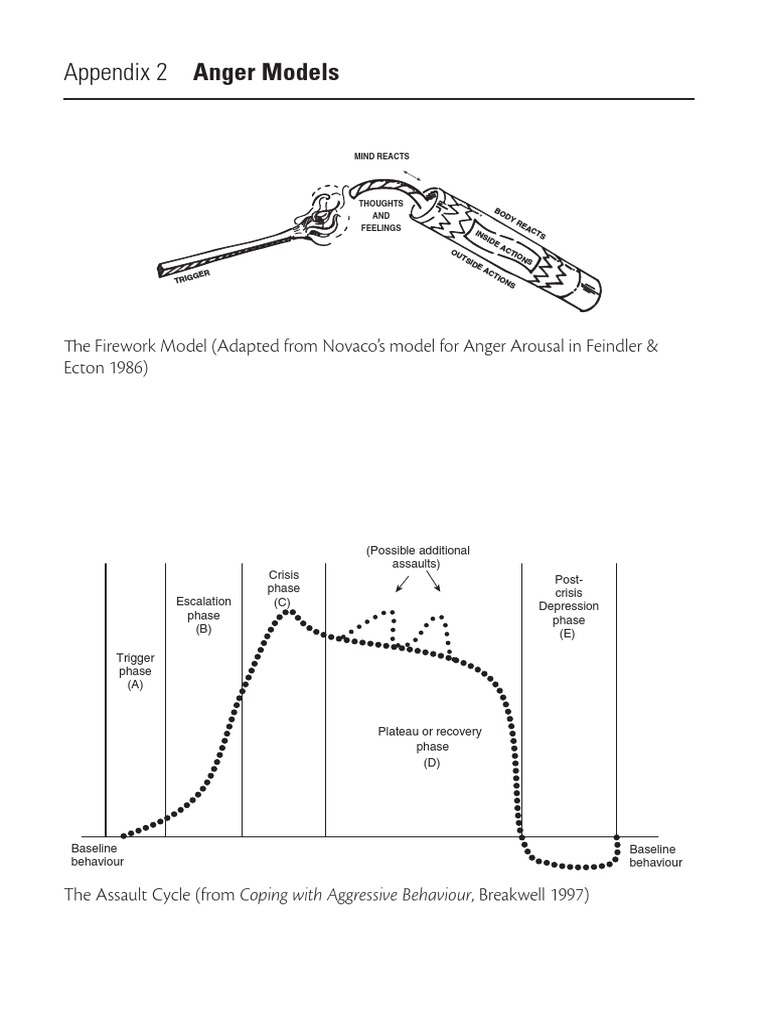 Anger Models and Assault Cycle Stages | PDF | Self-Improvement