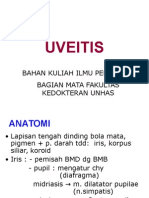 Uveitis