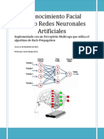 Presentacion Redes Neuronales