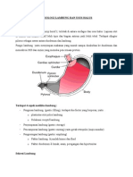 Fisiologi Lambung Dan Usus Halus