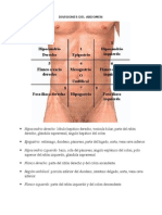 Partes del abdomen y sus órganos