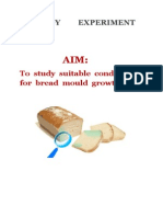Bio Class 11 Bread Mold Experiment