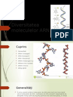 Caracteristicile Moleculelor ARN