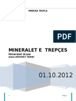 Mineraletetrepes 130507061212 Phpapp02
