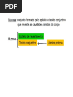 Aula 2 - Tecido Conjuntivo