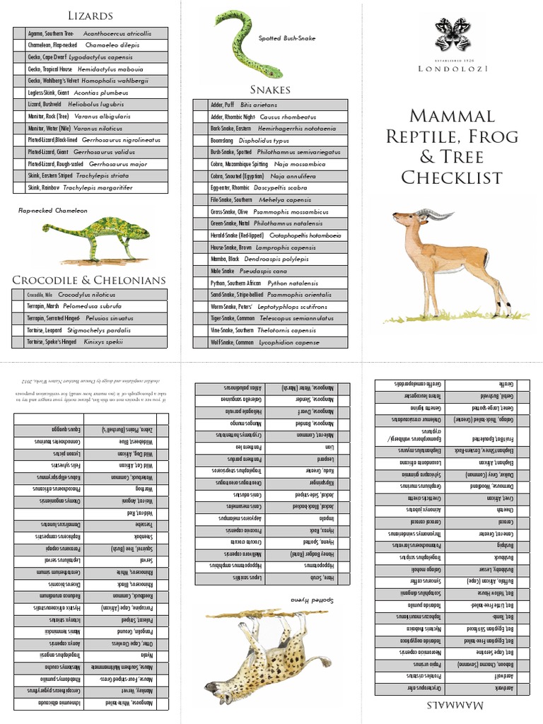 Flora and Fauna Species Checklist | PDF | Cooking, Food & Wine | Home ...