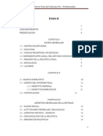 Informe Final de Practicas Preprofesionales - Saul Quispe H