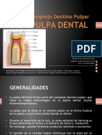 Histologia Dentaria Pulpa Dental