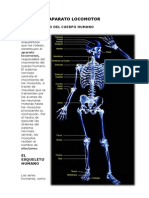 Locomotor PDF Buen Material PDF