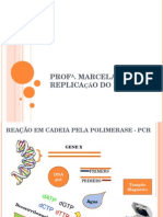 Replicaçao - Telomerase e PCR