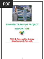 Report On Radhe Renewable Energy Development by Nildip Parekh